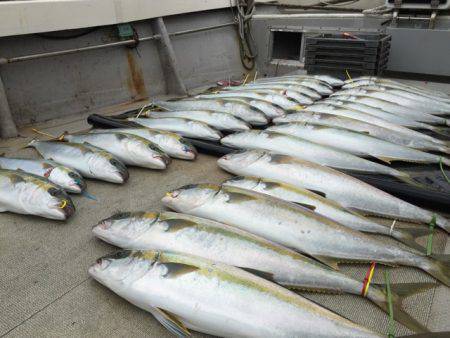 寿裕 (YOSHIHIRO) 釣果