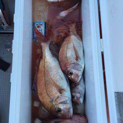 遊漁船高橋 釣果