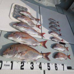 遊漁船 幸友丸 釣果