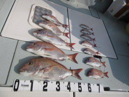 遊漁船 幸友丸 釣果