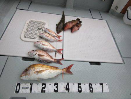 遊漁船 幸友丸 釣果