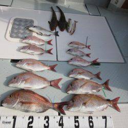 遊漁船 幸友丸 釣果