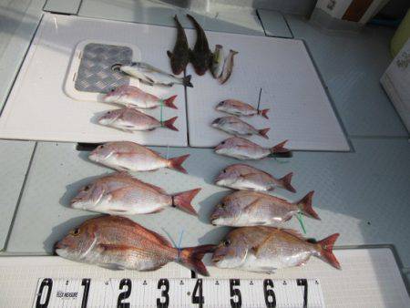 遊漁船 幸友丸 釣果