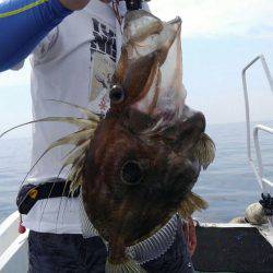 遊漁船 新鋭丸 釣果