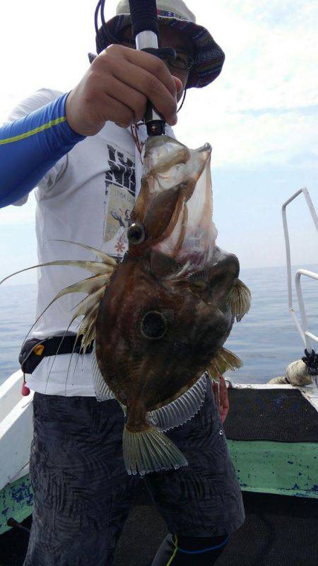遊漁船 新鋭丸 釣果