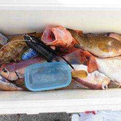 大進丸(新潟) 釣果