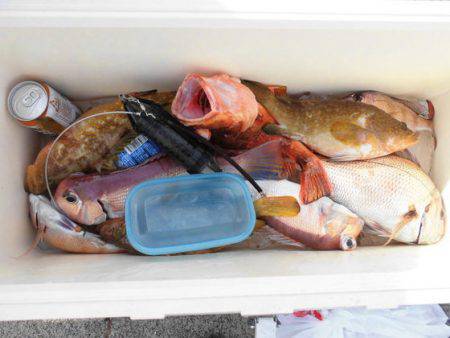 大進丸(新潟) 釣果