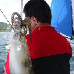 遊漁船 幸友丸 釣果