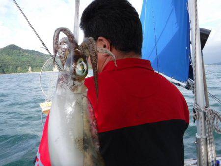 遊漁船 幸友丸 釣果