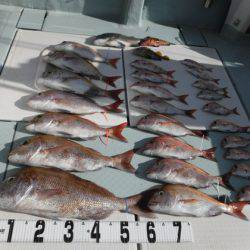 遊漁船 幸友丸 釣果