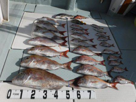 遊漁船 幸友丸 釣果