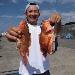 大進丸(新潟) 釣果