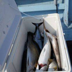 第五慶門丸 釣果