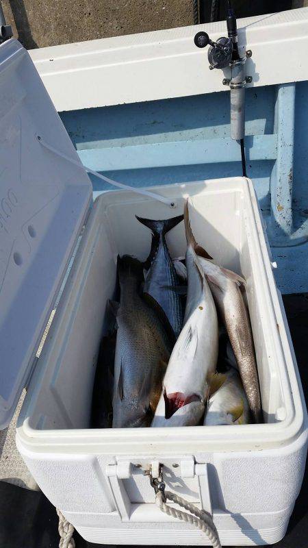 第五慶門丸 釣果