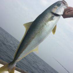 寿裕 (YOSHIHIRO) 釣果