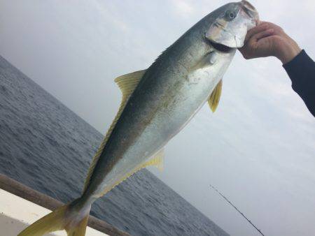 寿裕 (YOSHIHIRO) 釣果