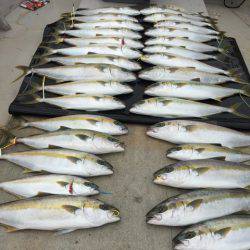 寿裕 (YOSHIHIRO) 釣果