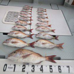 遊漁船 幸友丸 釣果