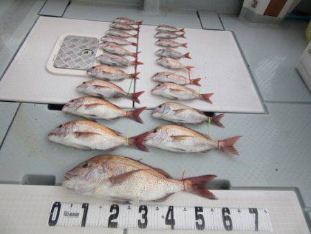 遊漁船 幸友丸 釣果