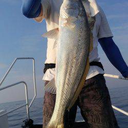 遊漁船 新鋭丸 釣果