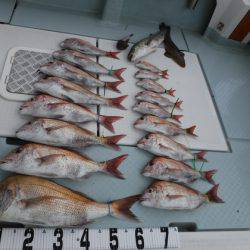 遊漁船 幸友丸 釣果