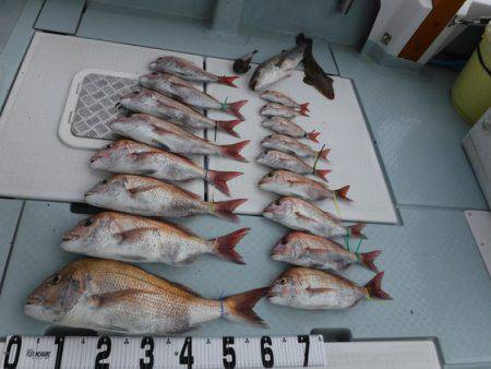 遊漁船 幸友丸 釣果