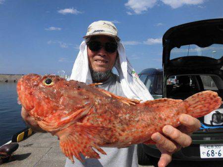 大進丸(新潟) 釣果