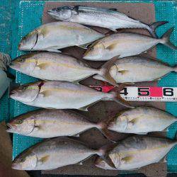 清和丸 釣果