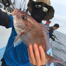 松鶴丸 釣果