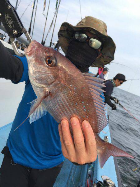 松鶴丸 釣果