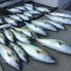 寿裕 (YOSHIHIRO) 釣果