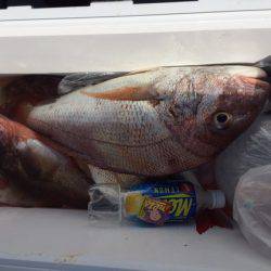 遊漁船高橋 釣果