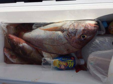 遊漁船高橋 釣果