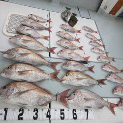 遊漁船 幸友丸 釣果