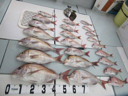 遊漁船 幸友丸 釣果