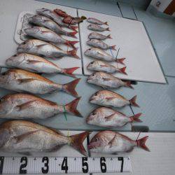 遊漁船 幸友丸 釣果