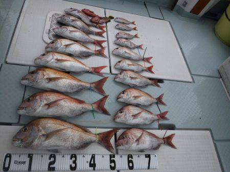 遊漁船 幸友丸 釣果