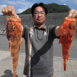 大進丸(新潟) 釣果