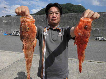 大進丸(新潟) 釣果