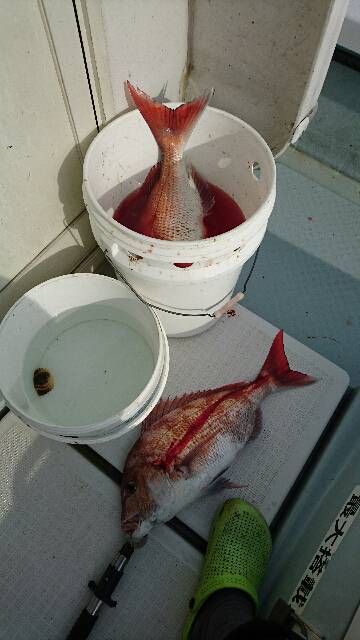 遊漁船ブルーウッズ 釣果