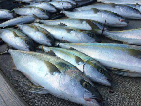 寿裕 (YOSHIHIRO) 釣果