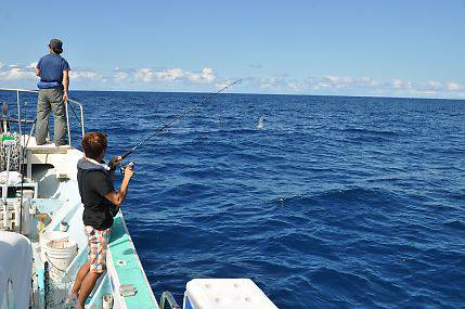 八海丸 釣果