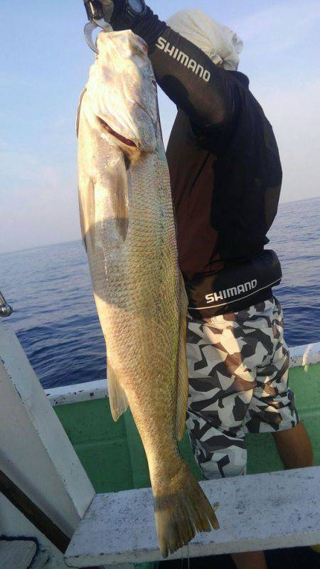 遊漁船 新鋭丸 釣果