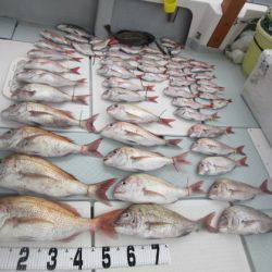 遊漁船 幸友丸 釣果