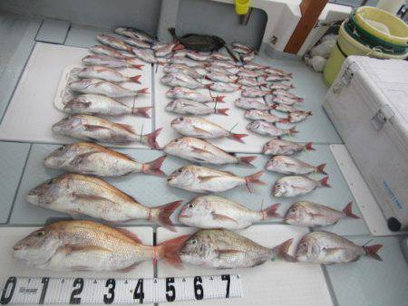 遊漁船 幸友丸 釣果