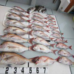 遊漁船 幸友丸 釣果