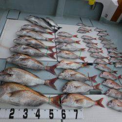 遊漁船 幸友丸 釣果