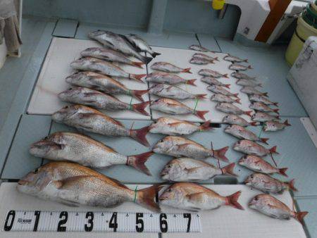 遊漁船 幸友丸 釣果