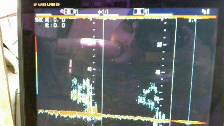 第五慶門丸 釣果