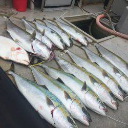 寿裕 (YOSHIHIRO) 釣果